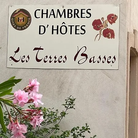 Hotel Les Terres Basses Fabrezan Esterno foto