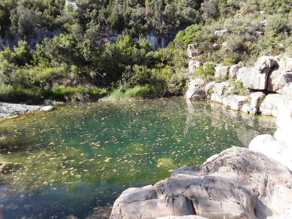 Les Terres Basses Guest house